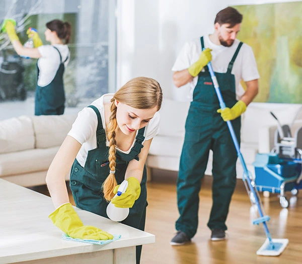 Recurring Cleaning